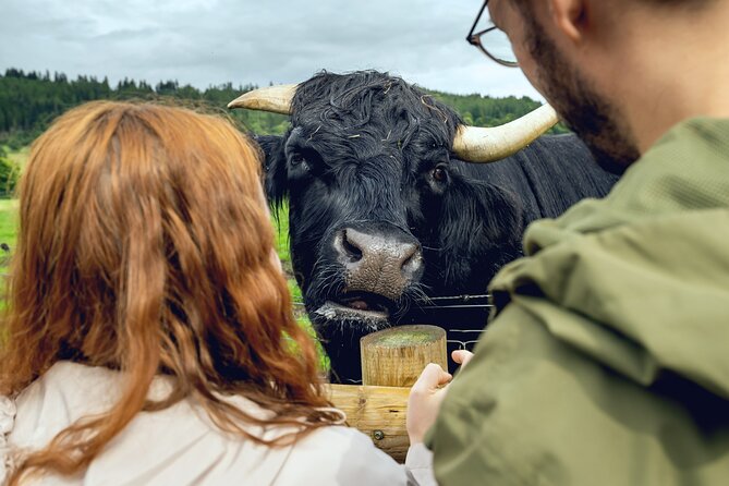 Hairy Coos & Highland Views: A Short Day Escape from Edinburgh - Key highlights that matter (and why)