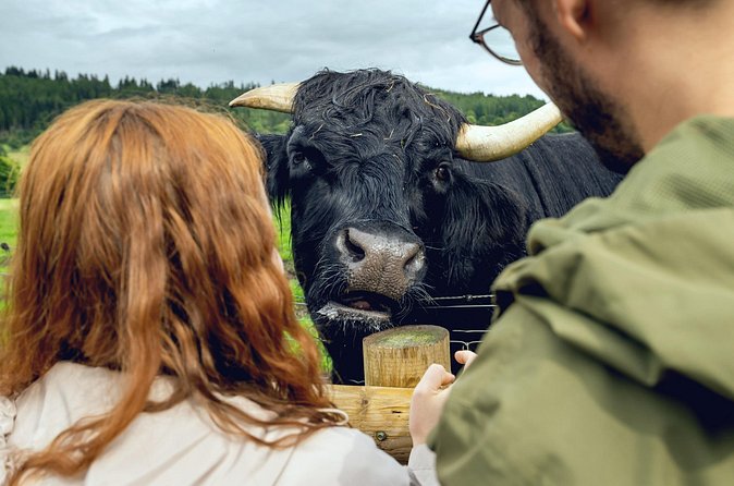 Hairy Coos & Highland Views: A Short Day Escape from Edinburgh - Deanston or Blackness: your main “time block”
