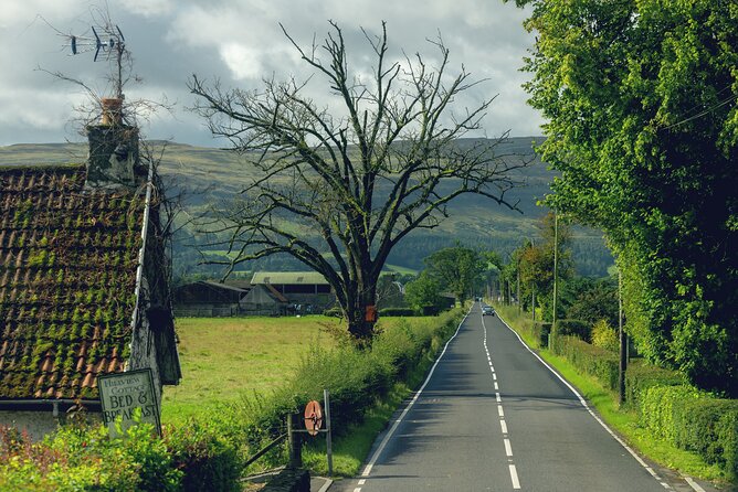 Hairy Coos & Highland Views: A Short Day Escape from Edinburgh - Loch Achray, the Hairy Coos, and getting your camera out