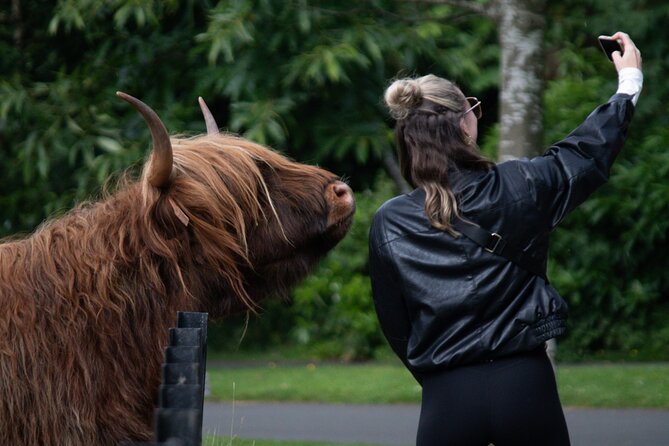 Highlands Cows Glencoe and Castles Private Tour from Edinburgh - Key things I’d bet on before you book