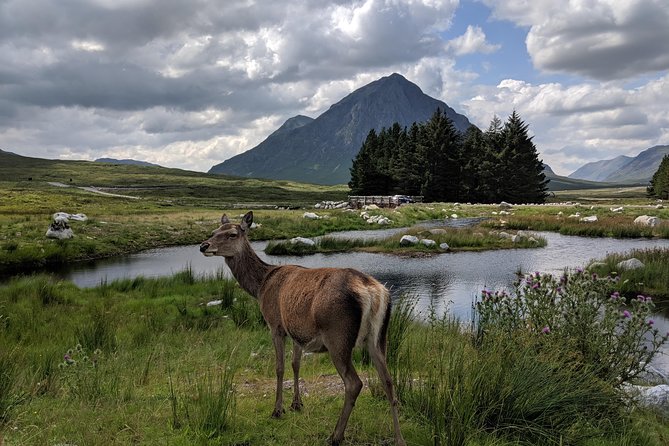 Highlands Private One Day Tour of Scotland - Glencoe National Nature Reserve: the one-hour anchor that makes the day feel complete
