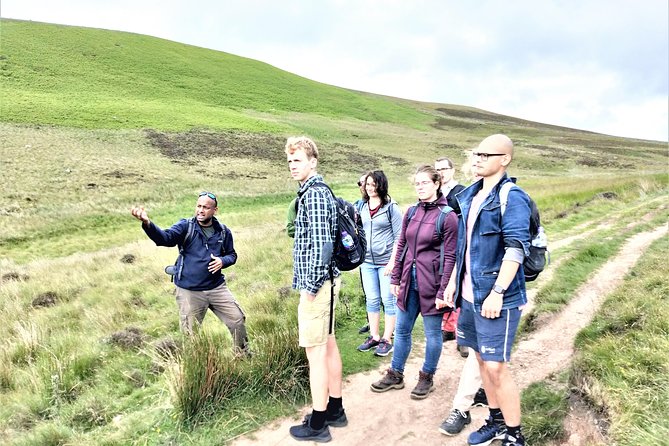 Hill & Nature Hike - Discover Real Edinburgh With a Local Expert - Wildlife on the Pentlands: what you might spot