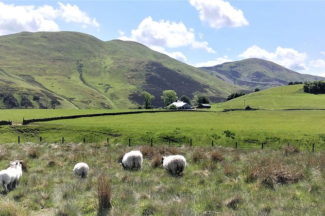 Hill & Nature Hike - Discover Real Edinburgh With a Local Expert - Stop-by-stop: how the route turns into a guided nature lesson