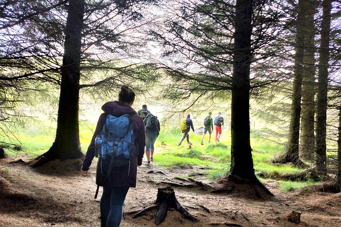 Hill & Nature Hike - Discover Real Edinburgh With a Local Expert - Snacks, water, and what to pack for windy, rainy Edinburgh days