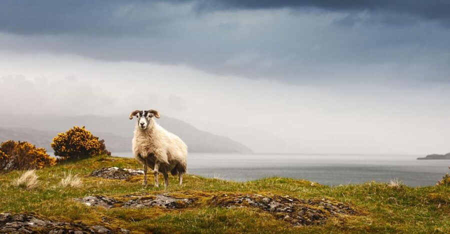 Iona, Mull, and Isle of Skye: 5-Day Tour from Edinburgh - Day 3: Loch Linnhe, Glencoe, Ben Nevis Country, and the Great Glen