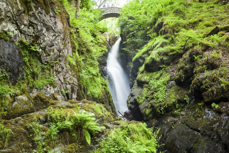 Lake District 3-Day Small Group Tour from Edinburgh - Price and value: what $556 gets you (and what you still pay for)