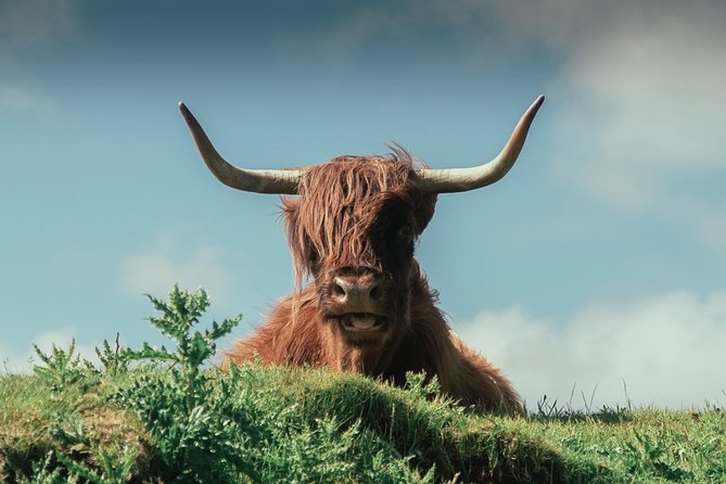 Loch Ness, Glen Coe & The Highlands Day Tour from Edinburgh - Fort William pass and Ben Nevis zone: famous by proximity