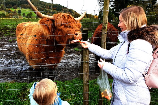 Loch Ness, Glencoe and the Highlands Private Day Tour - Edinburgh’s first big stops: Forth Bridges, royal ruins, and famous views