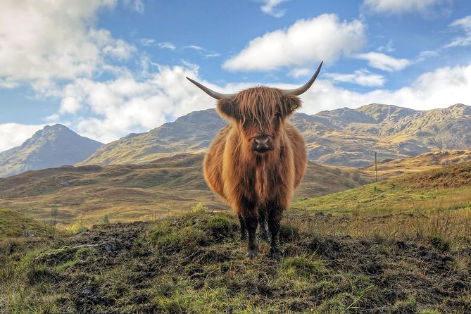 Loch Ness, Glencoe & the Highlands Guided Day Tour from Edinburgh - Fort William timing: lunch window, Loch Linnhe, and Ben Nevis pass