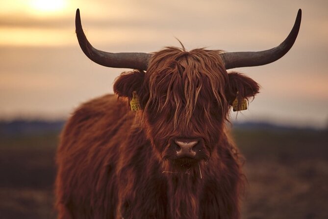 Luxury Private Tour of The Highlands & Loch Ness from Edinburgh - Start With Scotland’s Big Icons: Forth Bridges, The Kelpies, Wallace, and Stirling
