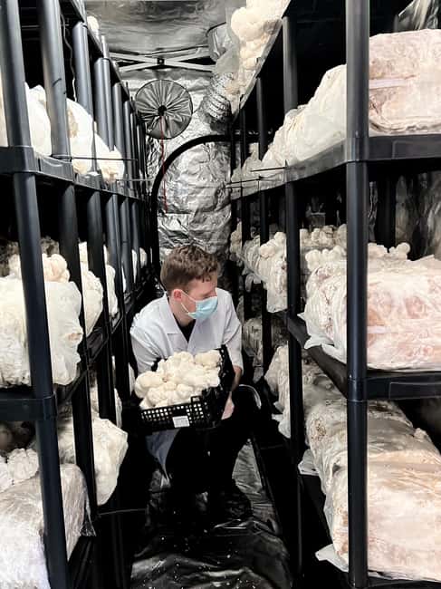 Makars Mushroom Farm Summerhall Tour with DIY Block Making - Fruiting tents and crop monitoring: the lesson isn’t just what, it’s why