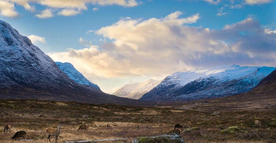 Private Harry Potter Day Tour For Small Groups - Glen Coe Stops: The Potter Backdrop That Still Feels Real