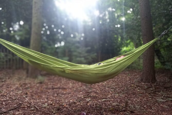 Private Mindfulness and Nature Walk in Edinburgh - What you do during the 90 minutes: breath, silence, movement
