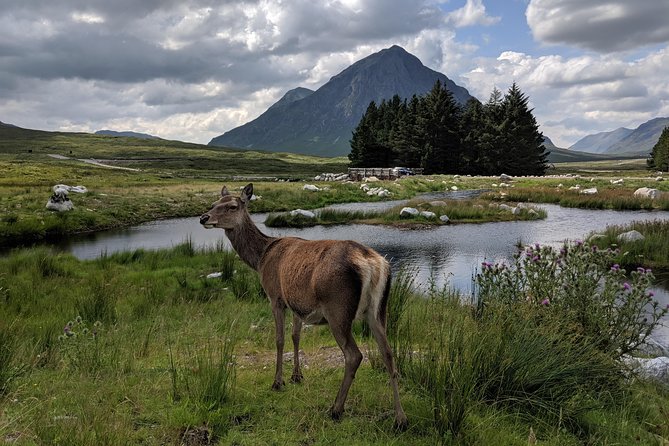 Private One Day Highlands Tour of Scotland - Guides Make or Break the Day (And This One Has Strong Names)