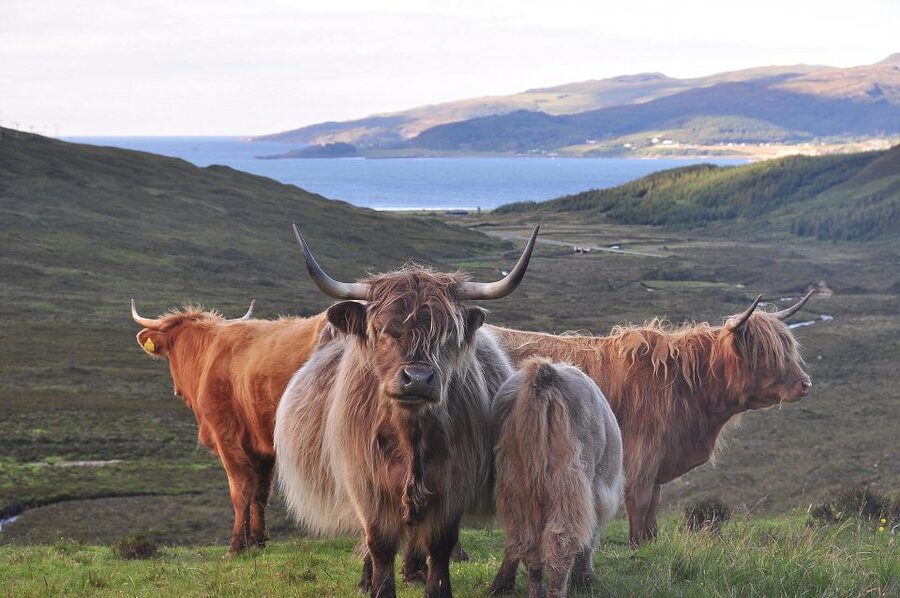 Private Outlander Tour for Small Groups - Key highlights worth planning for