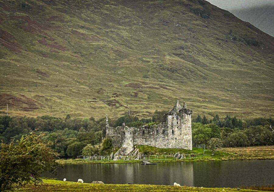 Private Tour of Highlands, Lochs & Castles from Edinburgh - Craigie’s Farm: Highland cows and a quick snack stop