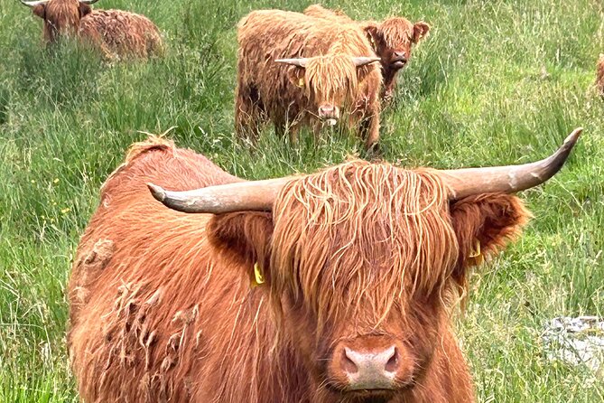 Private Tour of Loch Ness, Glencoe and Highlands from Edinburgh - Fort William and the Ben Nevis view: quick stop, big payoff