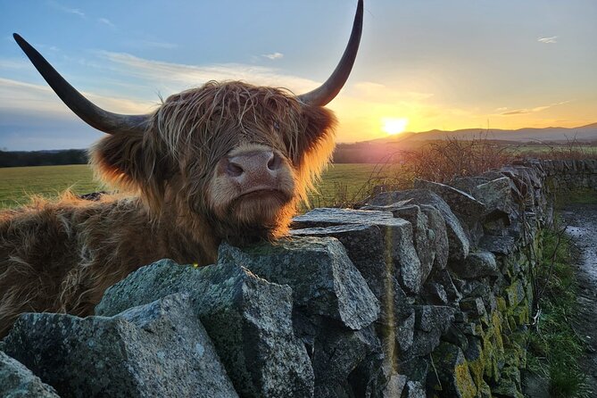 Private Tour of the Scottish Highlands from Edinburgh - Swanston Farm and the Highland Coos: Why This Stop Works