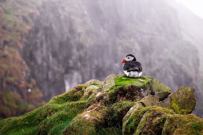 Puffin Boat Trip & Tantallon Castle Day Trip from Edinburgh - What to wear and bring (so the weather doesn’t ruin your day)