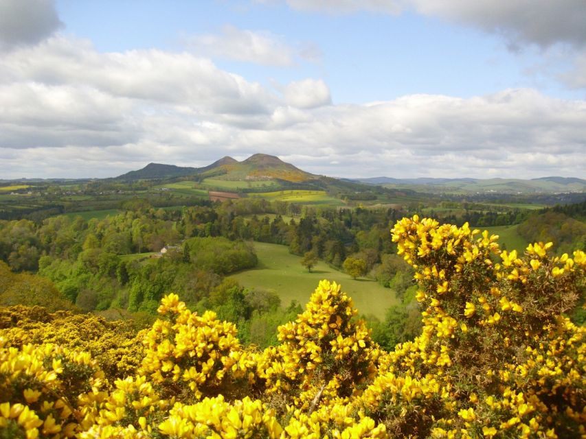 Rosslyn Chapel & Scottish Borders Tour from Edinburgh - Tour guide impact: why the best days depend on the storyteller