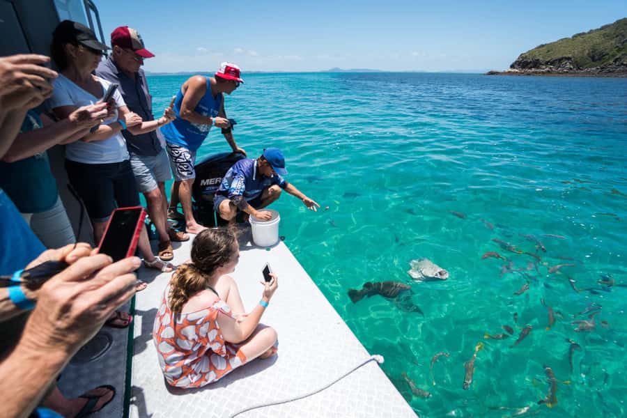 Rosslyn: Great Keppel Island Glass Bottom Boat Tour - Why this glass-bottom day works better than you expect