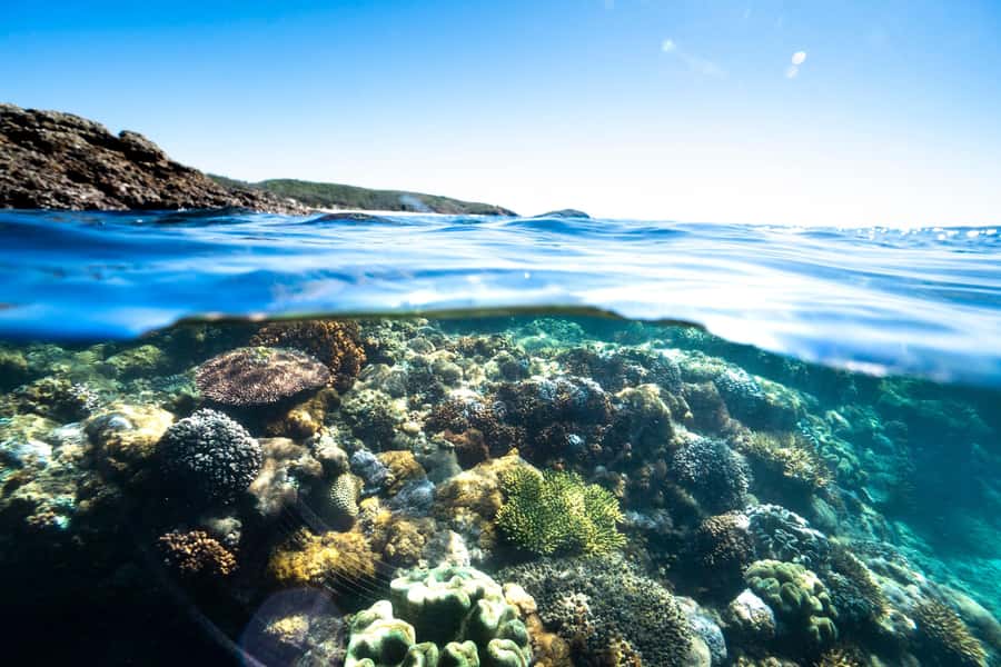 Rosslyn: Great Keppel Island Glass Bottom Boat Tour - Finding food on the island: meal spots with a view, plus picnic shade