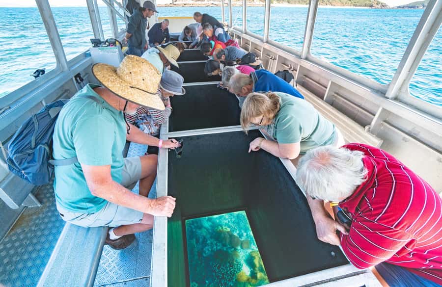 Rosslyn: Great Keppel Island Glass Bottom Boat Tour - Getting there: Yeppoon, the ferry, and Fisherman’s Beach timing