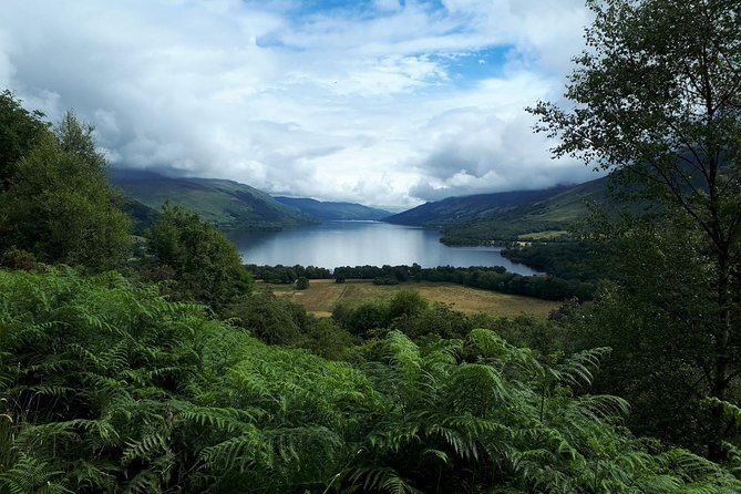 Scottish Highlands Freedom Bike & E- Bike Tour with Transfers - Queen Elizabeth Forest Park and Loch Lomond: where most of the riding happens