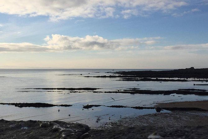 St Andrews, Falkland and Fife Villages Tour from Edinburgh - Stop 1: Forth Road Bridge for quick views and a stretch