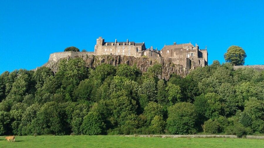 Stirling Castle, Highland Lochs & Whisky Tour from Edinburgh - The hairy Highland cow stop: fun photos, but watch the time