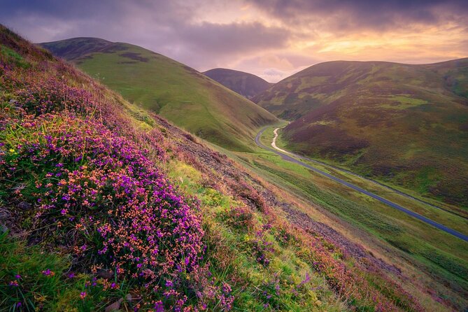 Ultimate Scottish Highlands Private Day Tour from Edinburgh - Stop 4: Loch Lomond and The Trossachs National Park Break