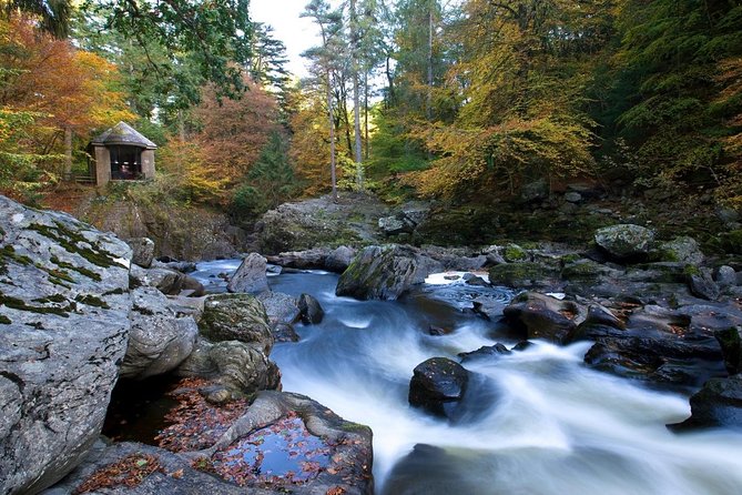 Waterfalls, Warriors & Whisky Adventure Day Tour from Edinburgh - The Hermitage woodland walk: the quieter side of Perthshire